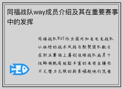 同福战队way成员介绍及其在重要赛事中的发挥